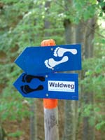 Giffers_Tentlingen_bewegt09 219