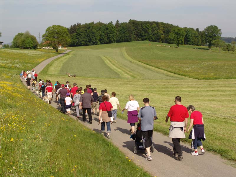 GiTe bewegt_2011 025