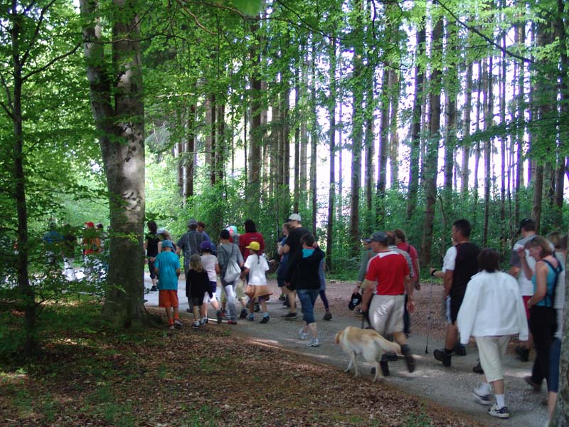 GiTe bewegt_2011 031