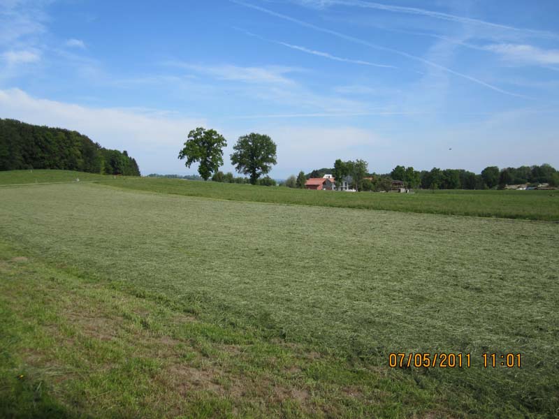 GiTe bewegt_2011 074