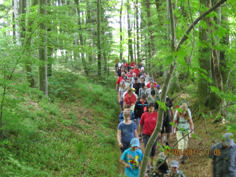 GiTe bewegt_2011 081