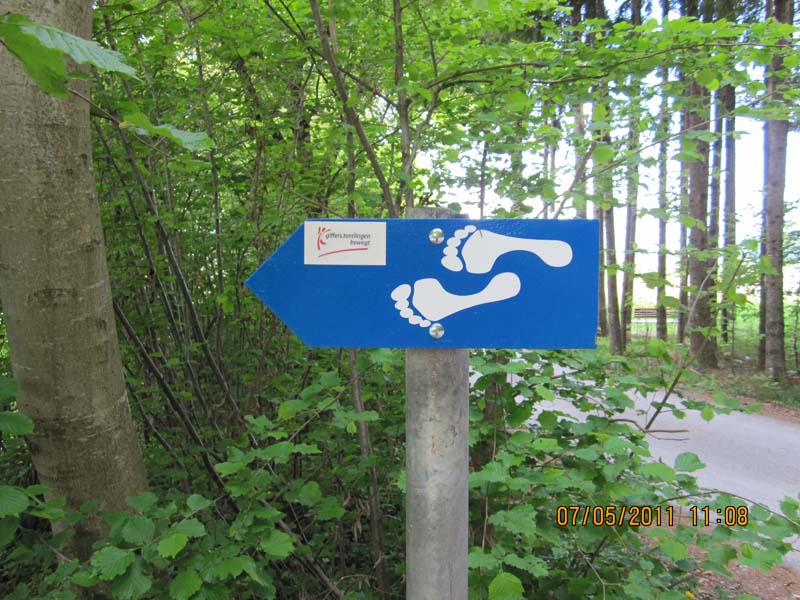 GiTe bewegt_2011 085