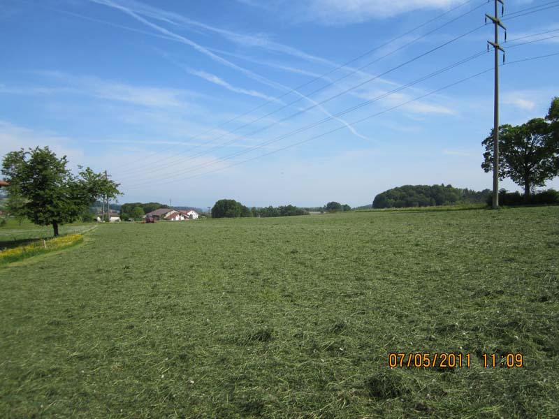 GiTe bewegt_2011 086