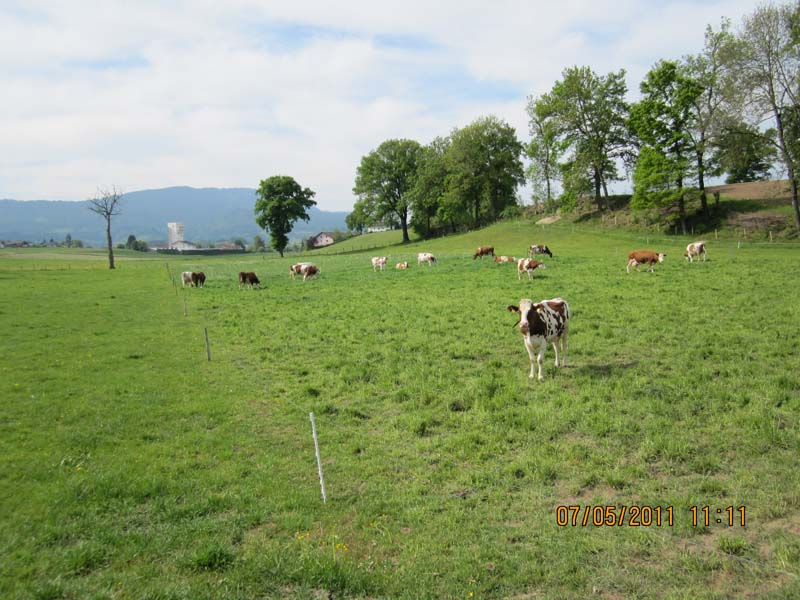 GiTe bewegt_2011 088