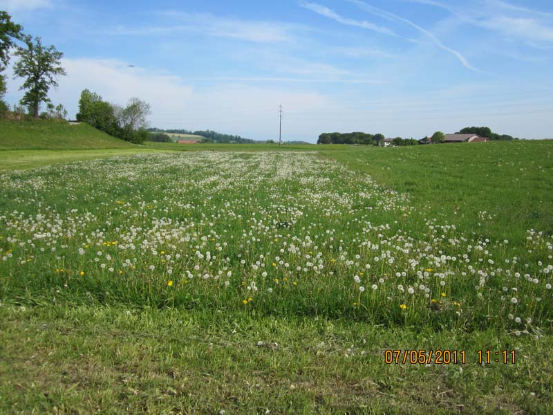 GiTe bewegt_2011 089