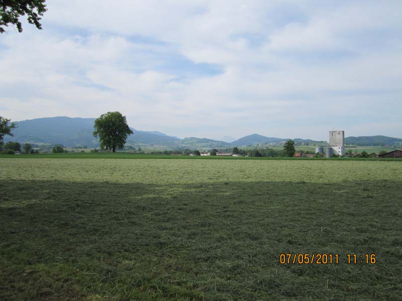 GiTe bewegt_2011 094