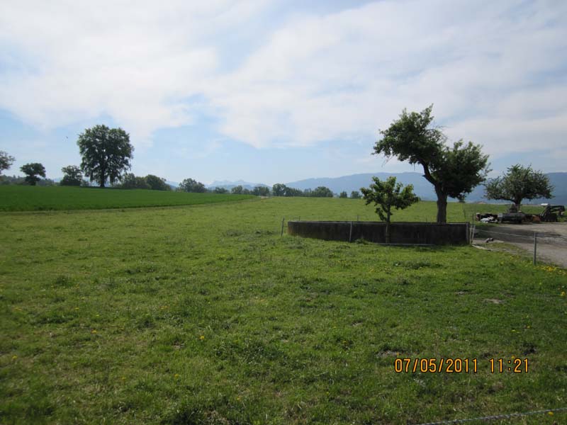 GiTe bewegt_2011 100