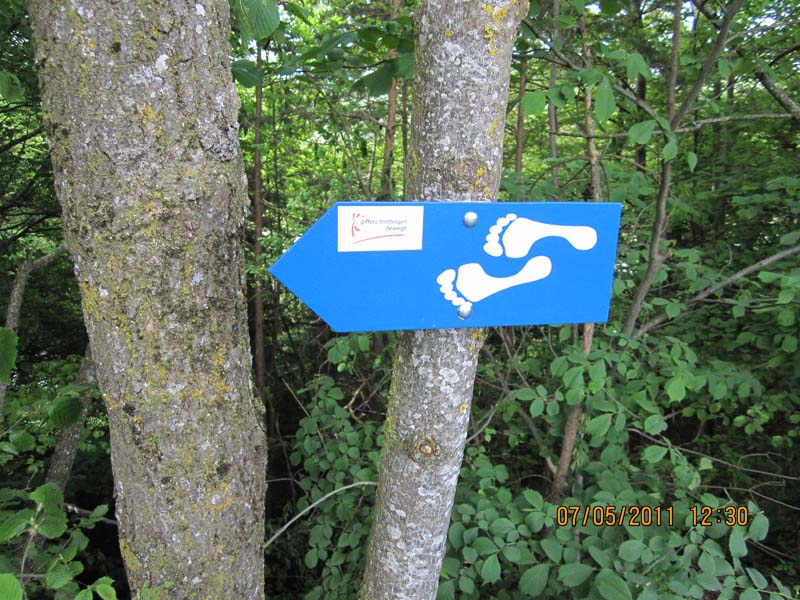 GiTe bewegt_2011 129