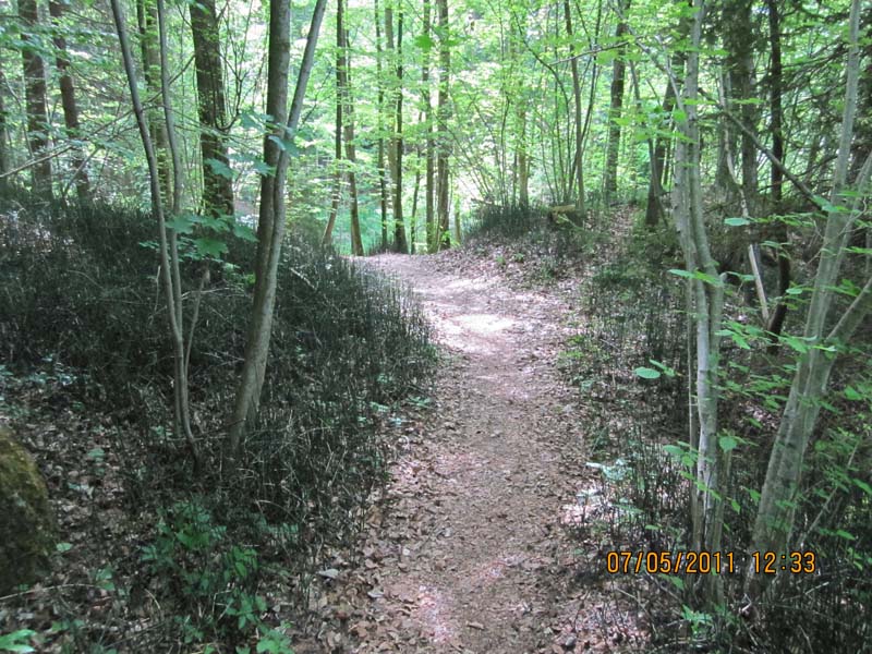 GiTe bewegt_2011 134