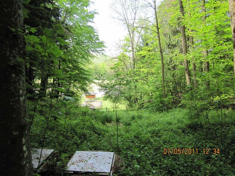 GiTe bewegt_2011 135