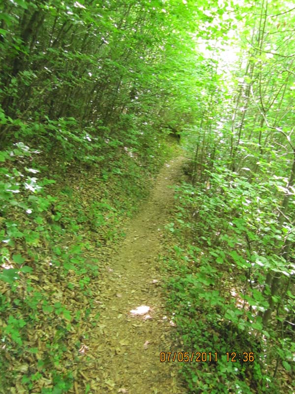 GiTe bewegt_2011 136