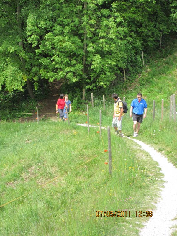 GiTe bewegt_2011 137