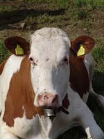 GiTe bewegt_2011 032