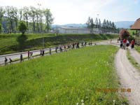 GiTe bewegt_2011 070