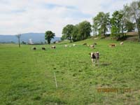 GiTe bewegt_2011 088