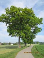 GiTe bewegt_2011 092