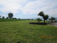 GiTe bewegt_2011 100