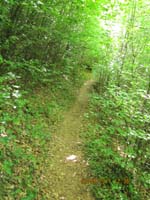 GiTe bewegt_2011 136