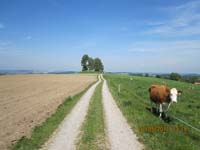 GiTe bewegt_2011 152