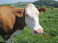 GiTe bewegt_2011 153